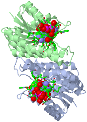 Image Asym./Biol. Unit - sites