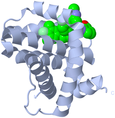 Image Biological Unit 1