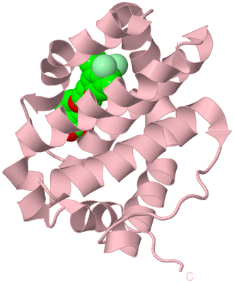 Image Biological Unit 3