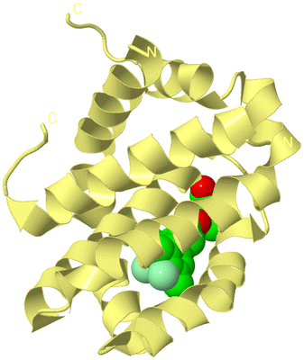 Image Biological Unit 4