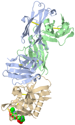 Image Biological Unit 1