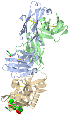 Image Biol. Unit 1 - sites