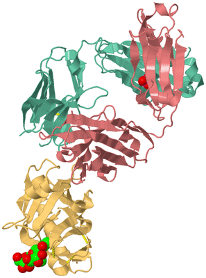 Image Biological Unit 2