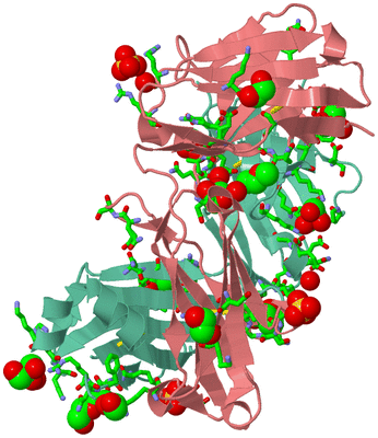 Image Asym./Biol. Unit - sites