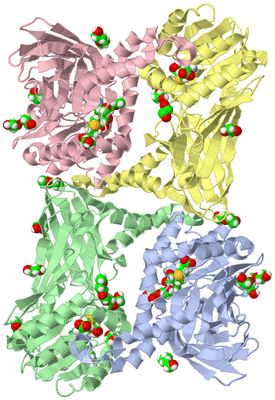 Image Asym./Biol. Unit