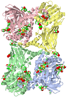 Image Asym./Biol. Unit - sites