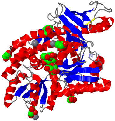 Image Asym./Biol. Unit