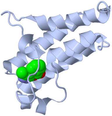 Image Biological Unit 1