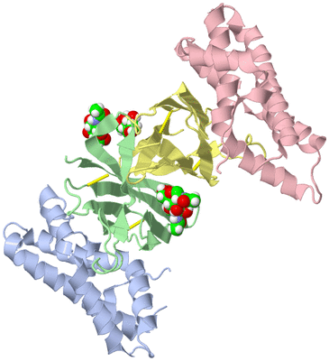 Image Biological Unit 1