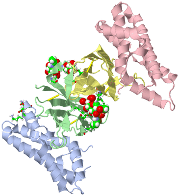 Image Biol. Unit 1 - sites