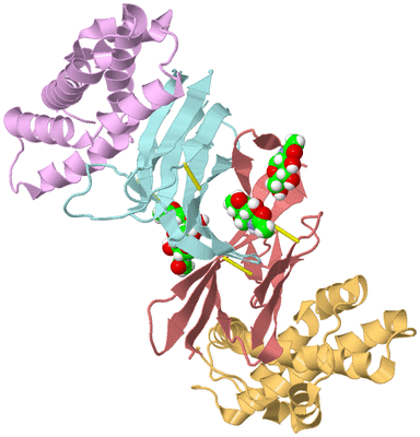 Image Biological Unit 2