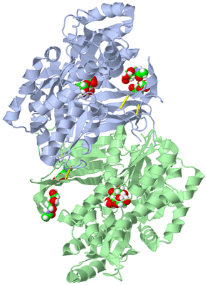 Image Asym./Biol. Unit