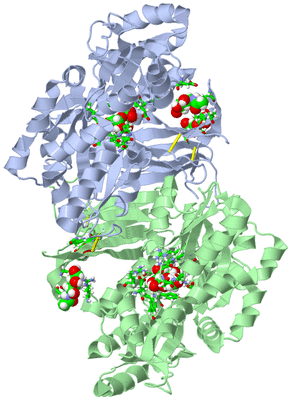 Image Asym./Biol. Unit - sites