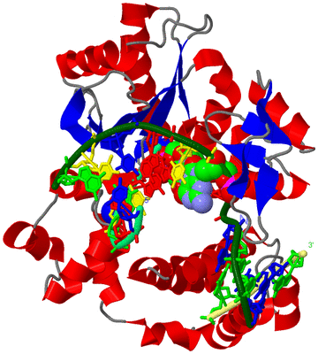 Image Asym./Biol. Unit