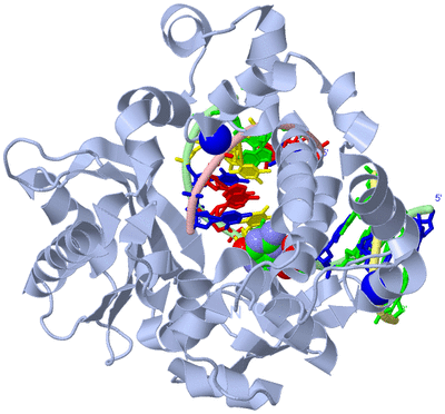 Image Biological Unit 1