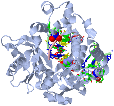 Image Biol. Unit 1 - sites