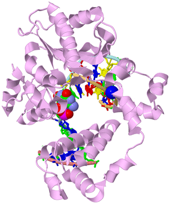 Image Biological Unit 2