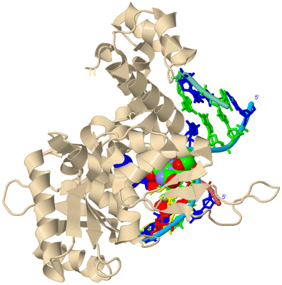 Image Biological Unit 3