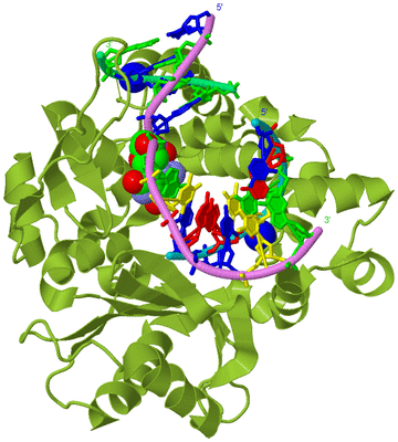 Image Biological Unit 4