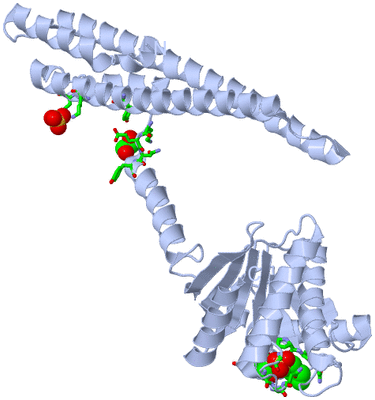 Image Biol. Unit 1 - sites