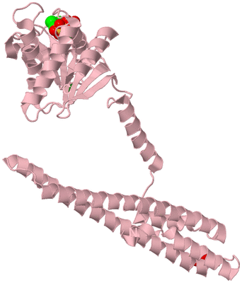 Image Biological Unit 3