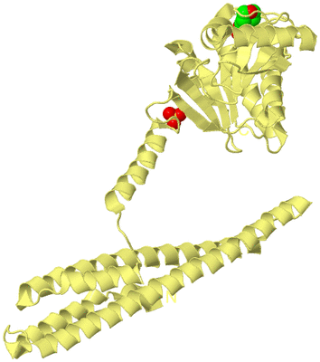 Image Biological Unit 4