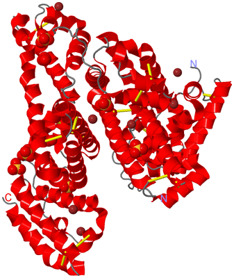 Image Asym./Biol. Unit