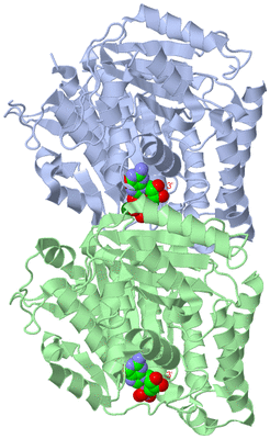 Image Asym./Biol. Unit