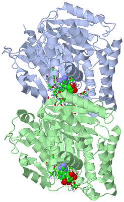 Image Asym./Biol. Unit - sites