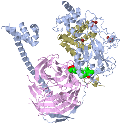 Image Biological Unit 1