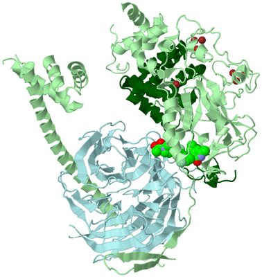 Image Biological Unit 2