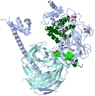 Image Biological Unit 1