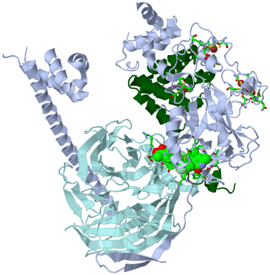 Image Biol. Unit 1 - sites