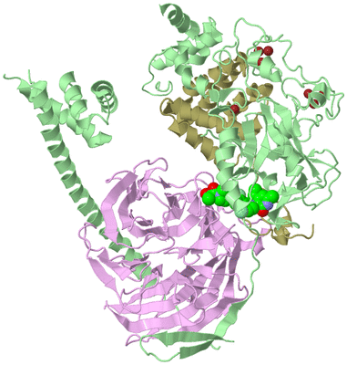 Image Biological Unit 2