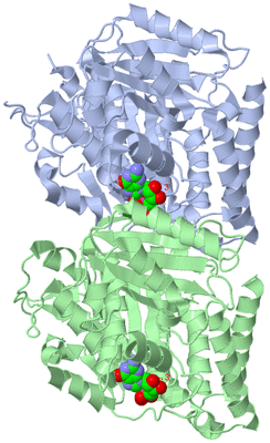 Image Asym./Biol. Unit