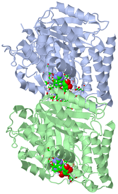 Image Asym./Biol. Unit - sites