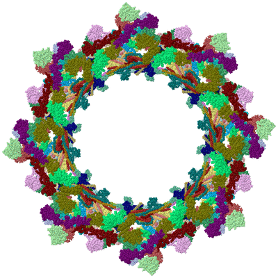 Image Biological Unit 1