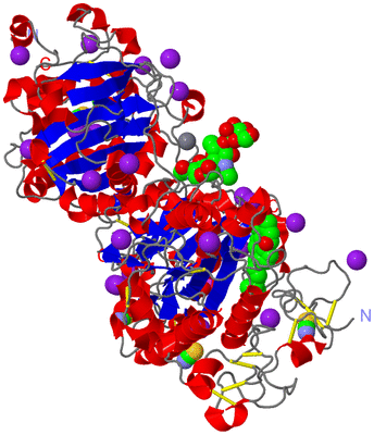 Image Asym./Biol. Unit