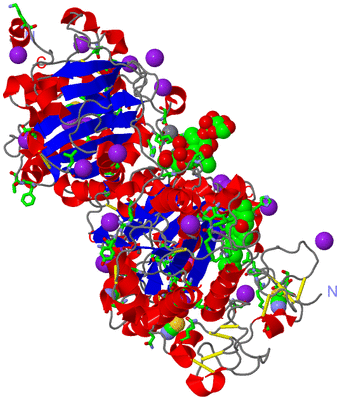 Image Asym./Biol. Unit - sites