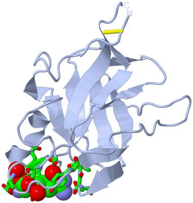 Image Biol. Unit 1 - sites