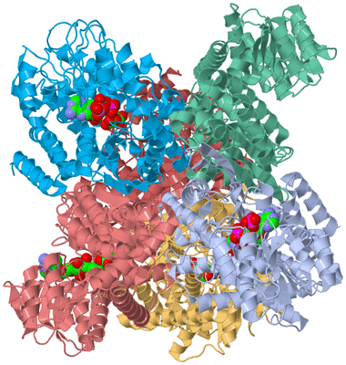 Image Biological Unit 1