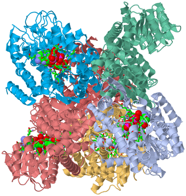 Image Biol. Unit 1 - sites