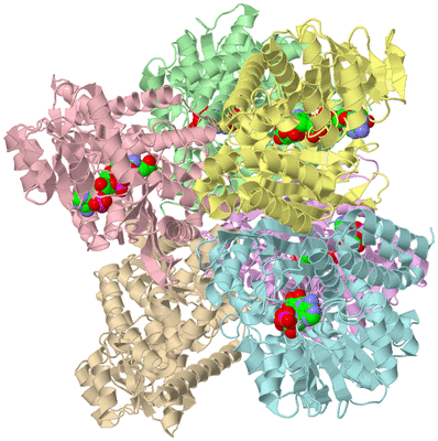 Image Biological Unit 2