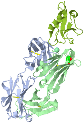 Image Biological Unit 1