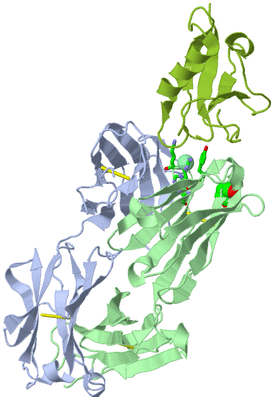 Image Biol. Unit 1 - sites