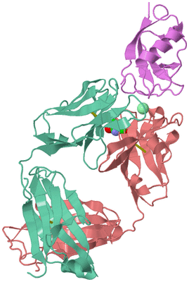 Image Biological Unit 2