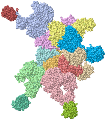 Image Asym./Biol. Unit