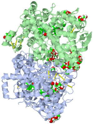 Image Asym./Biol. Unit