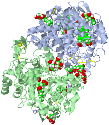 Image Asym./Biol. Unit