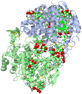 Image Asym./Biol. Unit - sites